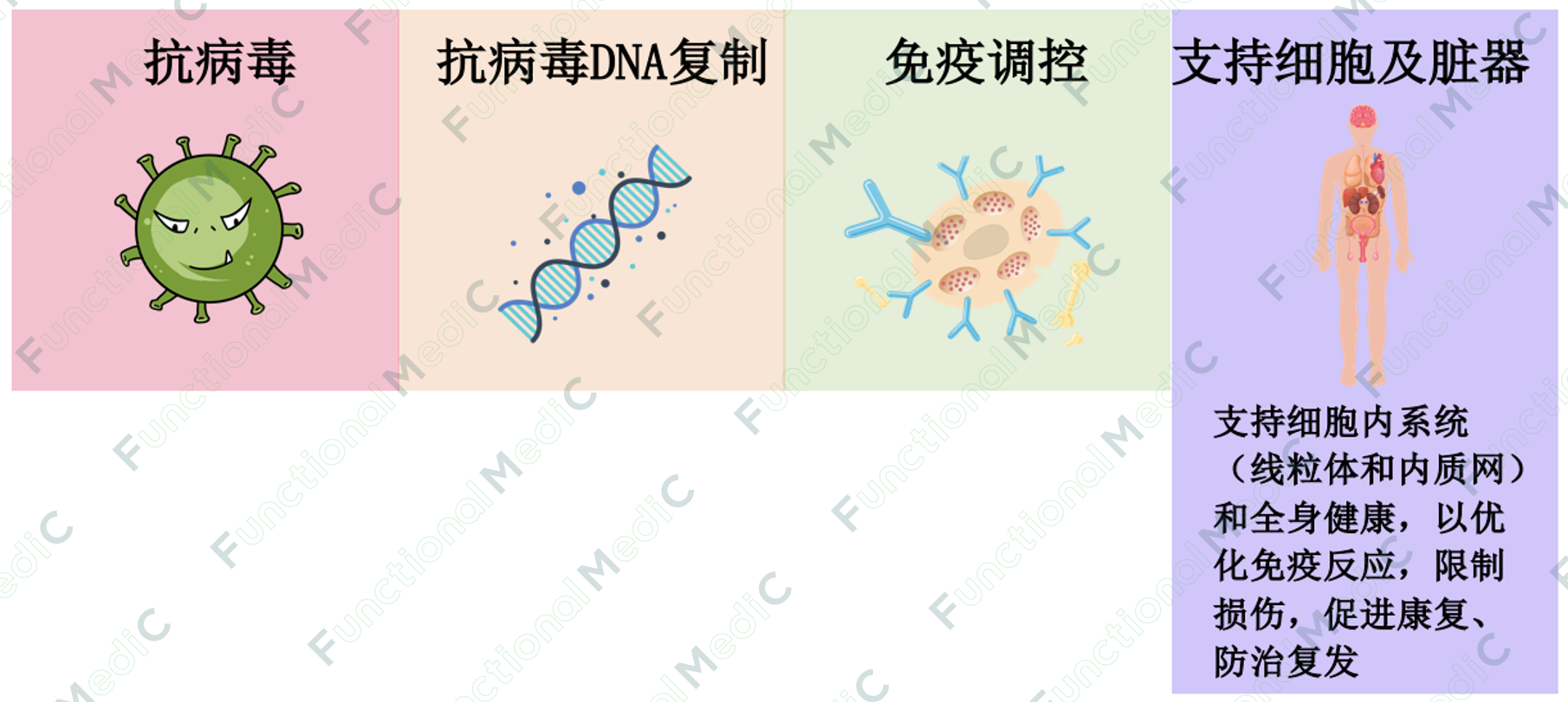 温故而知新专栏｜病毒系列（6）：支持细胞和整个系统的功能医学策略