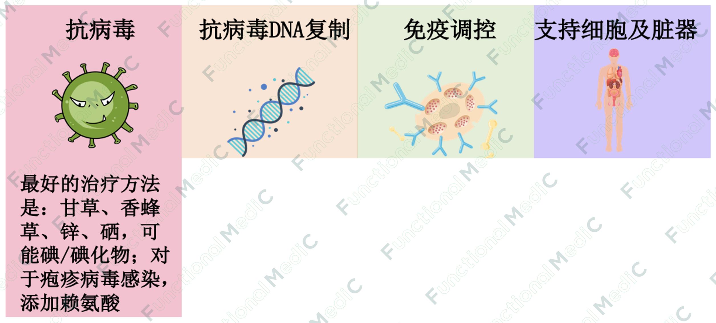 温故而知新专栏 | 病毒系列（3）：抗病毒的功能医学策略