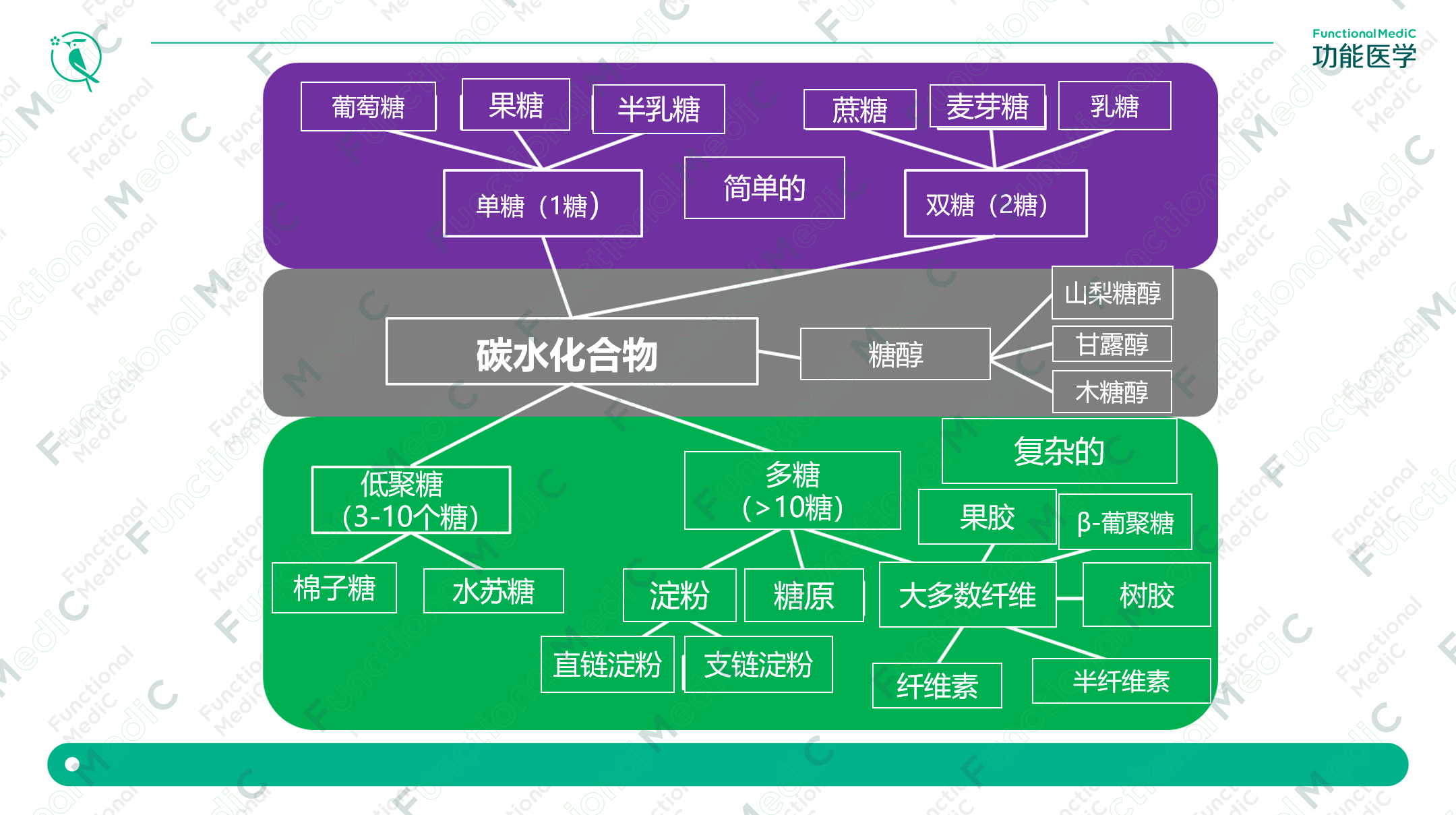 温故而知新专栏｜低FODMAP饮食