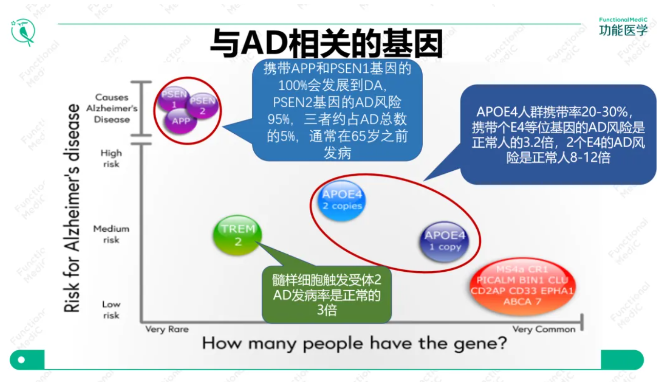 温故而知新专栏｜毒素、荷尔蒙失衡、3型糖尿病与老年人认知功能障碍