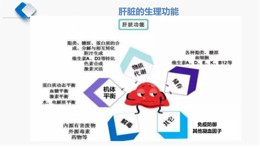 温故而知新专栏 | 功能医学辅助治疗肝硬化案例分享（上）