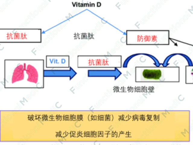 温故而知新专栏 | 病毒系列（5）：支持抗病毒的免疫营养调控功能医学策略（上）