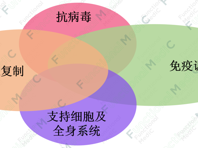 温故而知新专栏 | 病毒系列（1）：功能医学指导下病毒感染防治干预策略