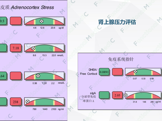 温故而知新专栏 | 萎缩性胃炎肠化生的功能医学管理（下）
