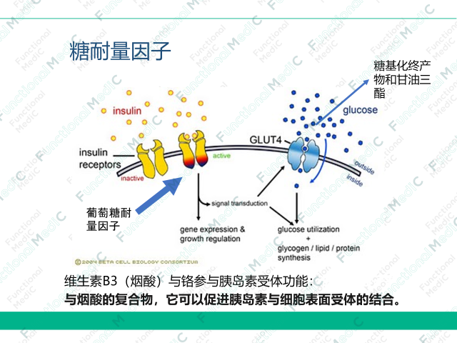 温故而知新专栏 | 代谢综合征与恶性肿瘤（下）
