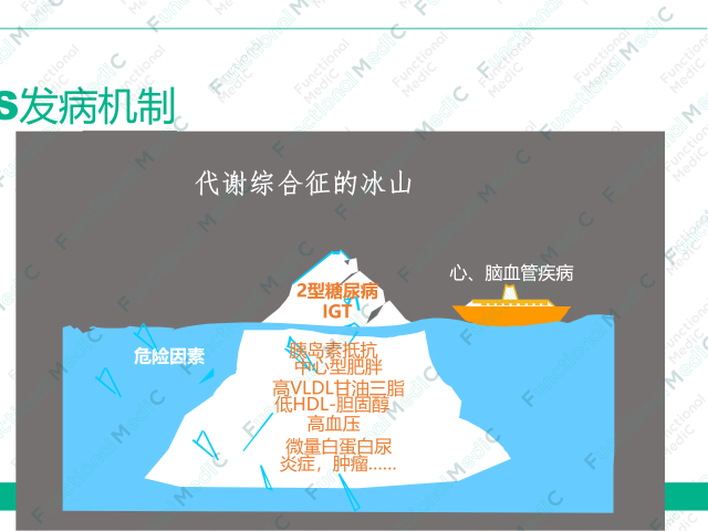 温故而知新专栏 | 代谢综合征与恶性肿瘤（上）