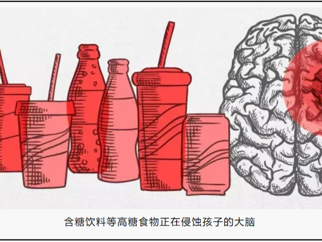 书籍推荐|《儿童减糖》--写给家长的儿童减糖奠基之作